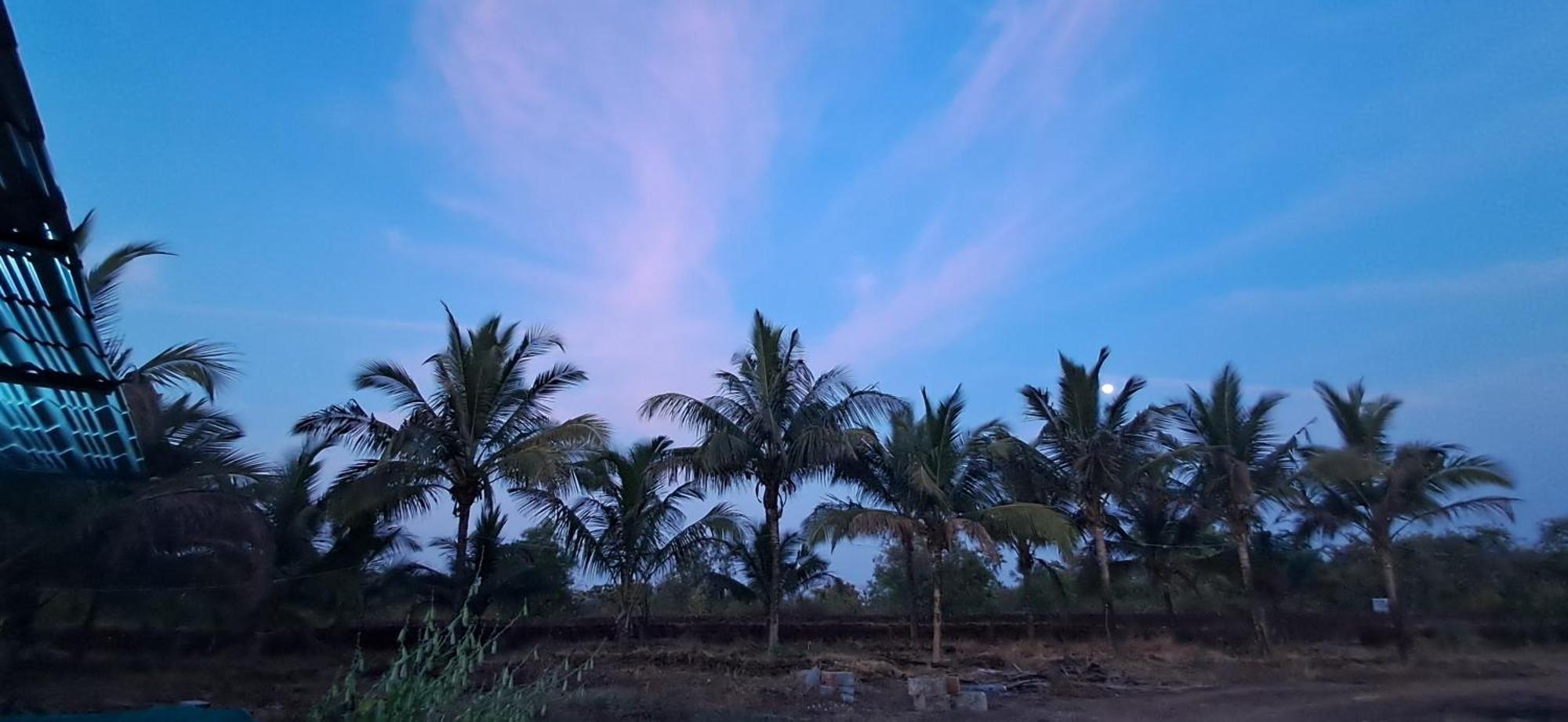 Arpita Farmstay Mālvan Dış mekan fotoğraf