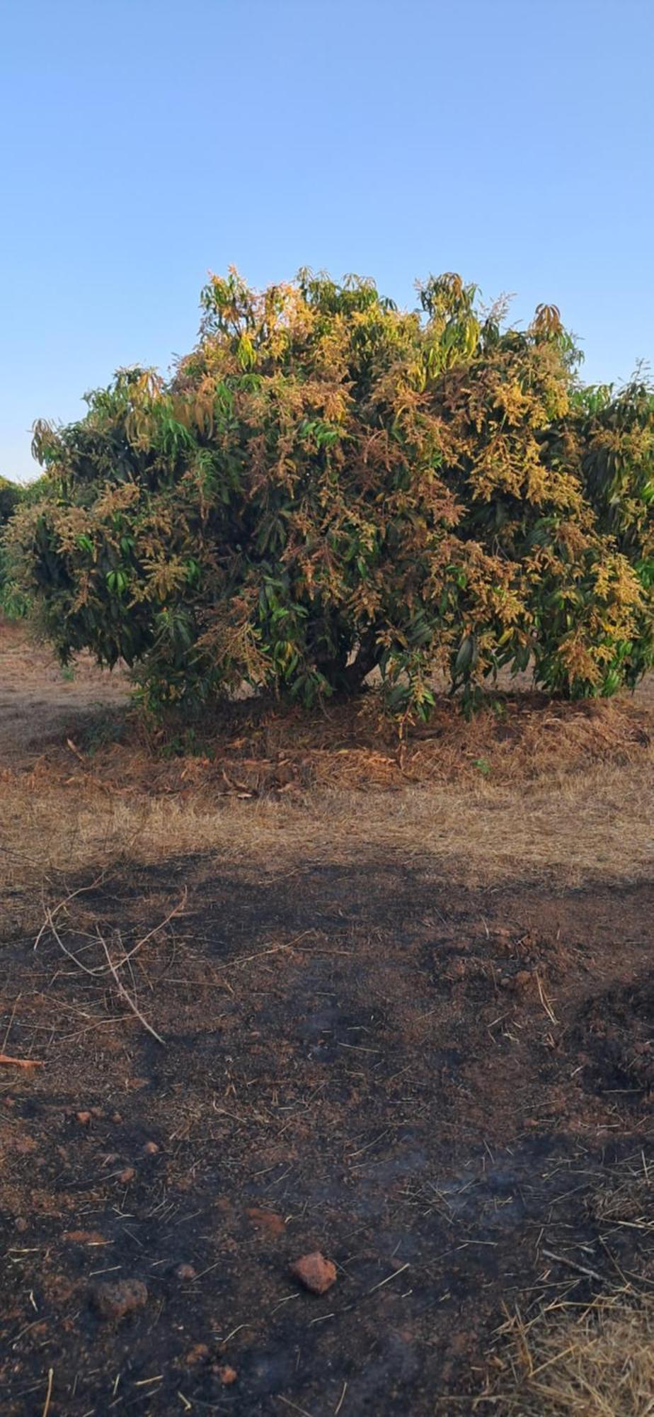 Arpita Farmstay Mālvan Dış mekan fotoğraf