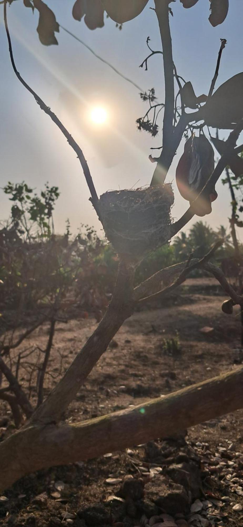 Arpita Farmstay Mālvan Dış mekan fotoğraf