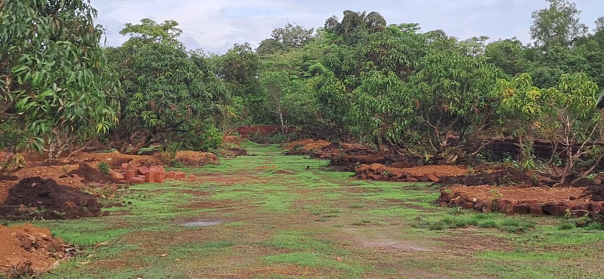 Arpita Farmstay Mālvan Dış mekan fotoğraf